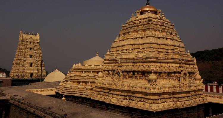 Tribal Trails and Tiger Tales: Vizag to Nagpur Adventure - Agora Voyages OPC Pvt Ltd 6