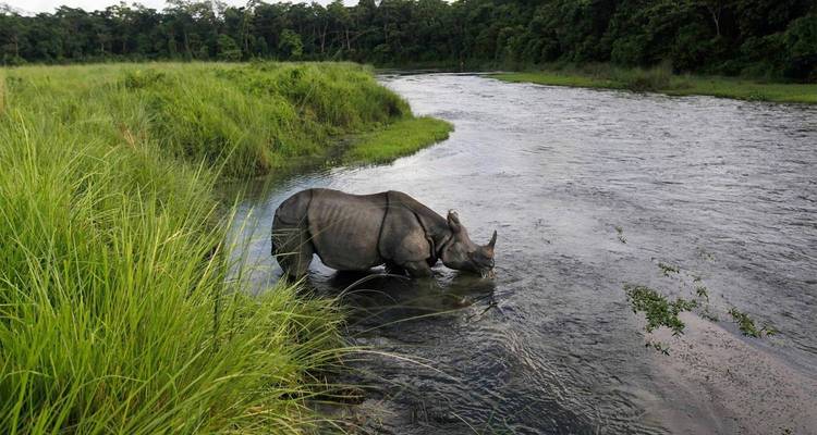 Majestic Nepal - UncleSam Holidays 8