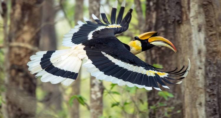 Majestic Nepal - UncleSam Holidays 10
