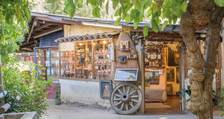Encantadora tienda de artesanías en un patio con estantes de madera llenos de souvenirs bajo enredaderas frondosas.