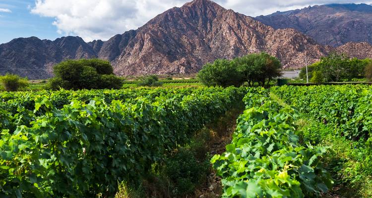 4 jours à Salta : Vallée de Humahuaca et vignobles de Cafayate - Signature DMC 10