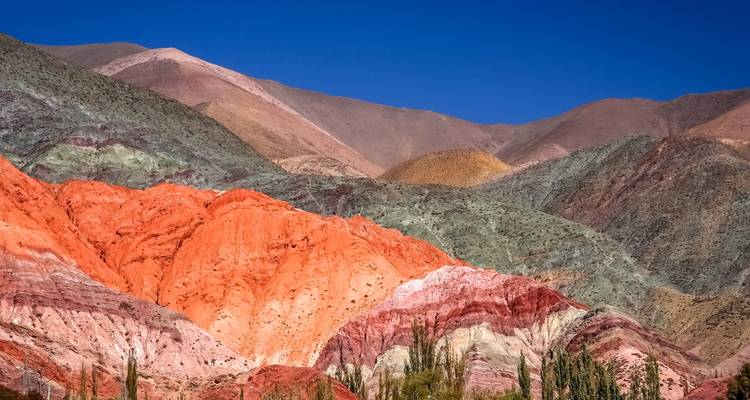 4-Days in Northern Argentina: Salta and Train to the Clouds - Signature DMC 10