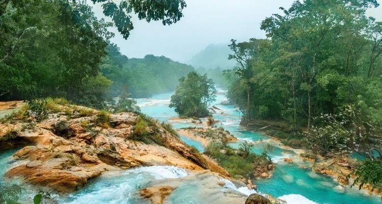 Une rivière turquoise qui coule à travers un paysage forestier.