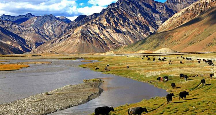 Fluss, der sich durch ein breites Tal mit weidenden Yaks und dramatischen Himalaya-Bergen schlängelt.