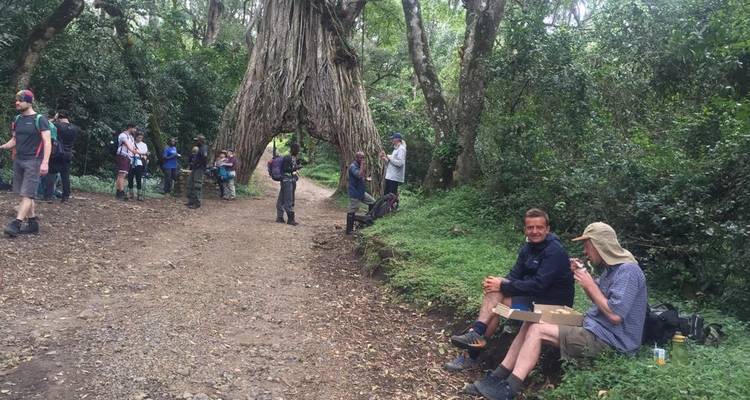 Kilimanjaro climb via Umbwe route - Himalayan Glacier Adventure and Travel Company 6