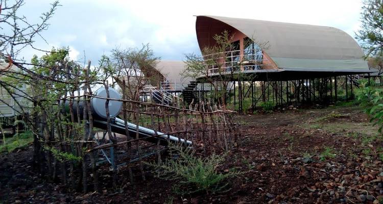 Cabanes surélevées dans un cadre naturel entourées de verdure.