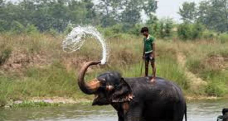 Kathmandu, Chitwan Tour 4 Days 3 Night - Mega Mount Treks and Expedition Pvt.Ltd.  2