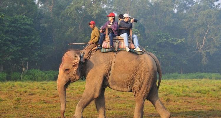 Kathmandu, Chitwan Tour 4 Days 3 Night - Mega Mount Treks and Expedition Pvt.Ltd.  3