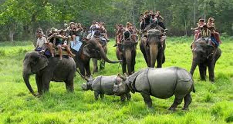 Kathmandu, Chitwan Tour 4 Days 3 Night - Mega Mount Treks and Expedition Pvt.Ltd.  5