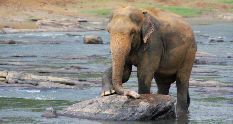 Tour to Sri Lanka - UncleSam Holidays 1