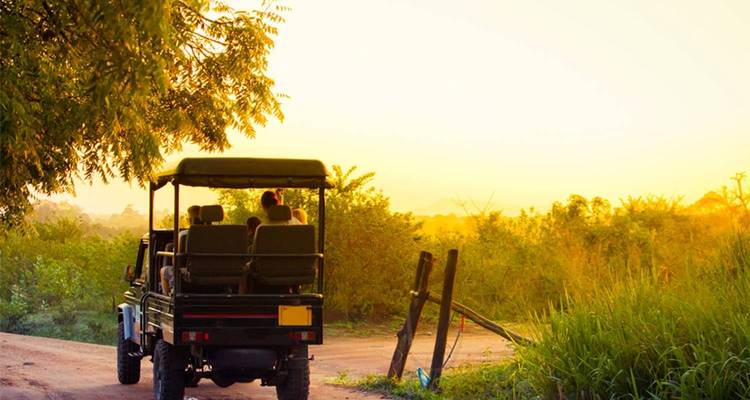 Sri Lanka Wildlife Tour - UncleSam Holidays 2