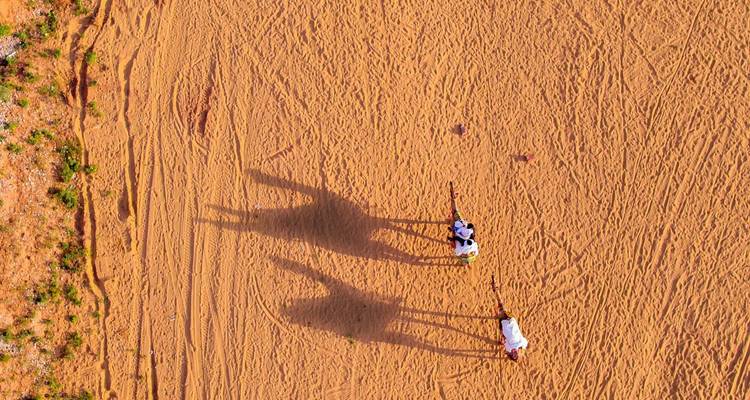 Luftaufnahme von zwei Kamelen, die Schatten auf den Sand werfen.