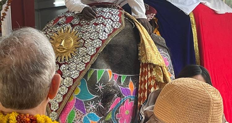 Golden Sands Odyssey: Jaipur to Jodhpur Exploration - Agora Voyages OPC Pvt Ltd 4