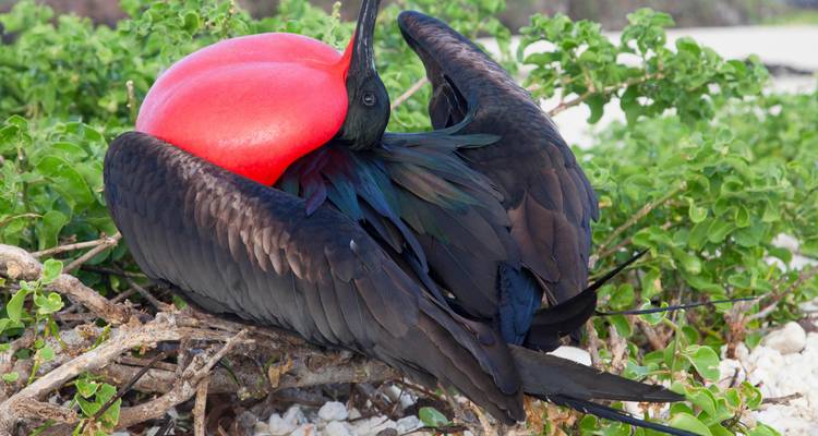 7 jours d'excursion à petit prix aux îles Galápagos à San Cristobal - Responsible Travel South America 2