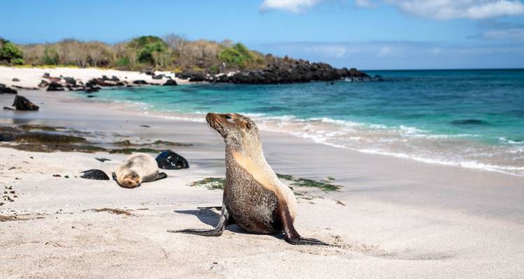 7 jours d'excursion à petit prix aux îles Galápagos à San Cristobal - Responsible Travel South America 4