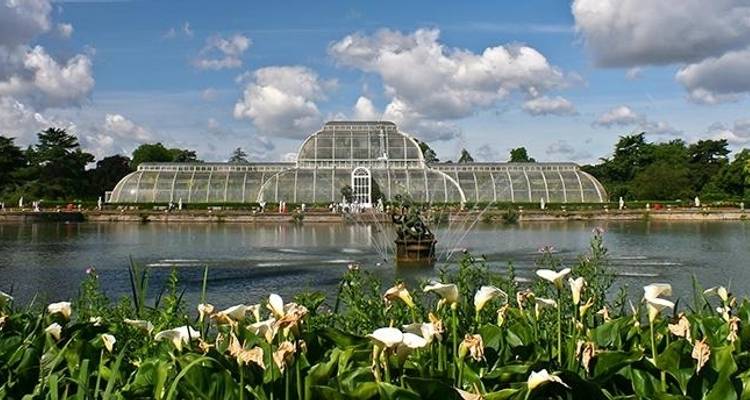 Chelsea Flower Show (vers l'ouest) 2026 - Blue-Roads Touring 5