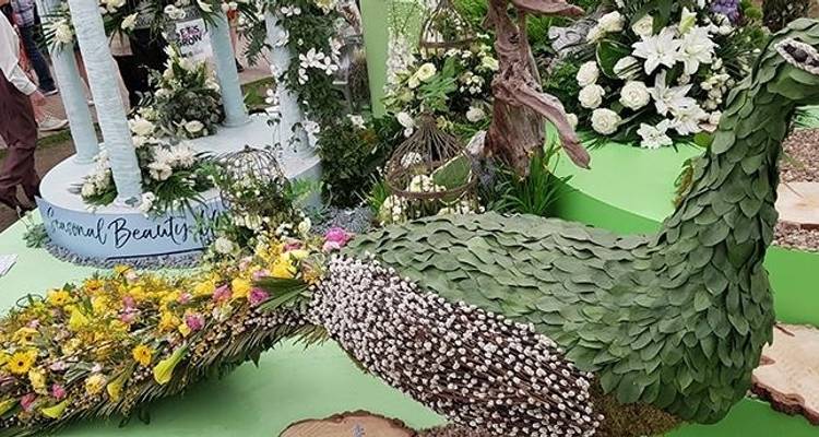 Chelsea Flower Show (vers l'ouest) 2026 - Blue-Roads Touring 4