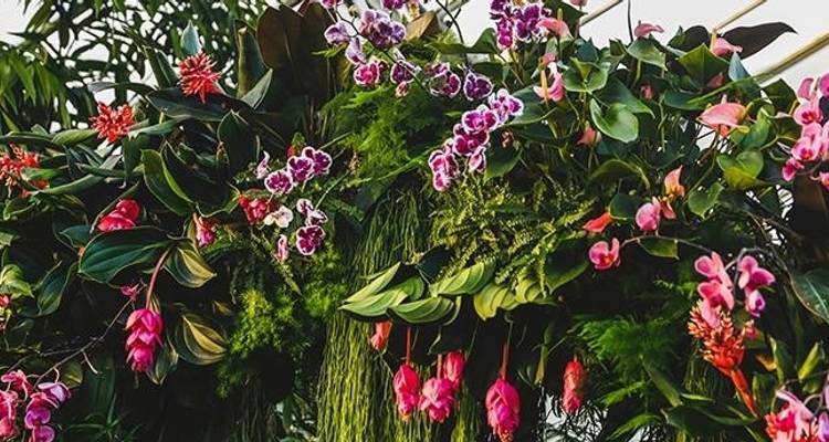 Chelsea Flower Show (vers l'ouest) 2026 - Blue-Roads Touring 6