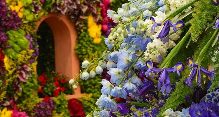 Chelsea Flower Show (vers l'ouest) 2026 - Blue-Roads Touring 7