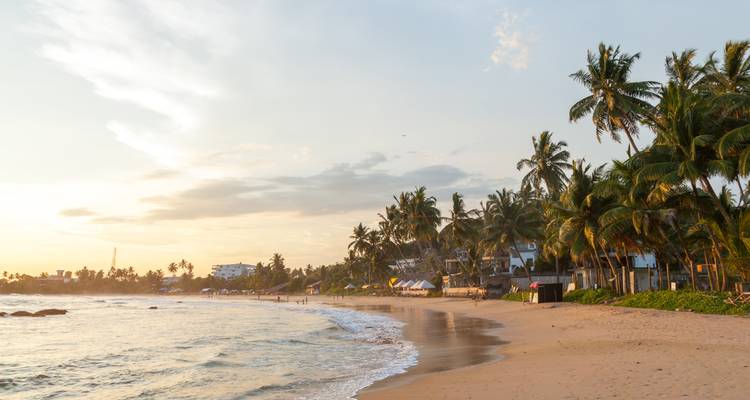 Sri Lanka 4 Nights 5 Days Itinerary - Holiday Lanka Tours 3