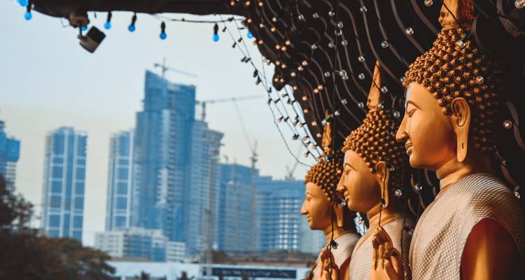 Sri Lanka 4 Nights 5 Days Itinerary - Holiday Lanka Tours 7