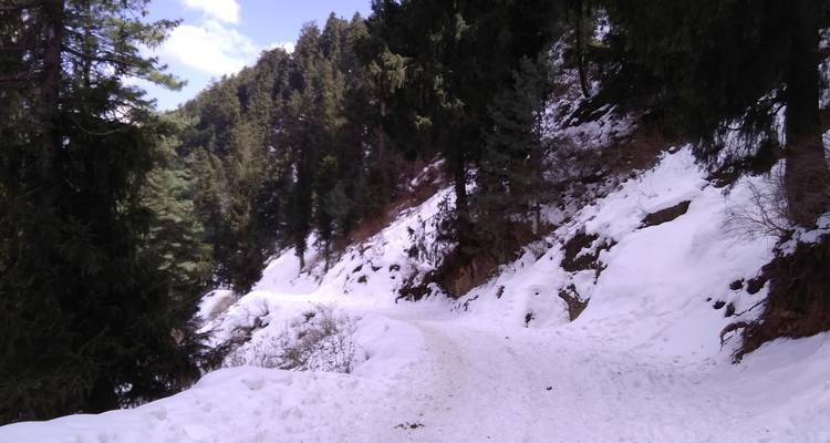 Golden Triangle & Himalayan Havens - Agora Voyages OPC Pvt Ltd 5