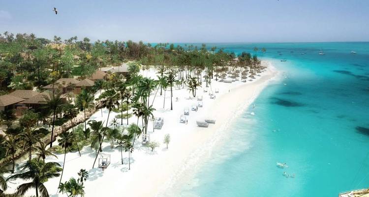 Vista aérea de una playa prístina con agua turquesa, palmeras frondosas y costas arenosas.
