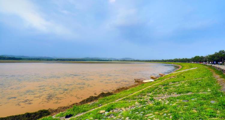 View of a large, muddy lake with a grassy shore.