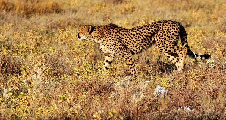 3 Days Oldoinyo Lengai climbing - Africa Outland Safaris 6