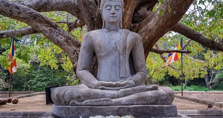 Sri Lanka 4 Days Itinerary - Holiday Lanka Tours 4