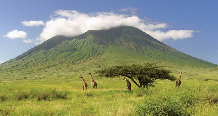 10 jours - Best of Tanzania Northern Circuit Game Drives, Hiking et; Cultural Activities Wildlife Safari - Comfort - Gracepatt Ecotours Kenya 1