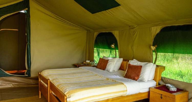 10 jours - Best of Tanzania Northern Circuit Game Drives, Hiking et; Cultural Activities Wildlife Safari - Comfort - Gracepatt Ecotours Kenya 4