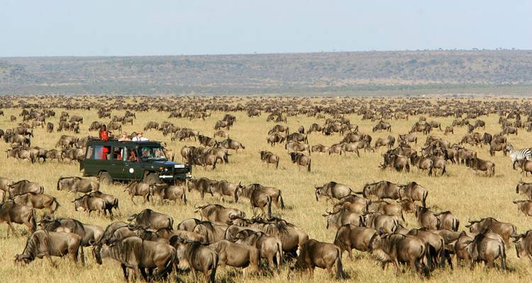 3 Days Masai Mara Tented Camping Safari - Dallago Tours Kenya-Tanzania 6