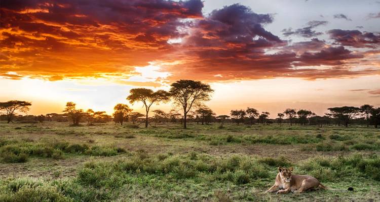 Safari classique de 7 jours en Tanzanie - Dallago Tours Kenya-Tanzania 6