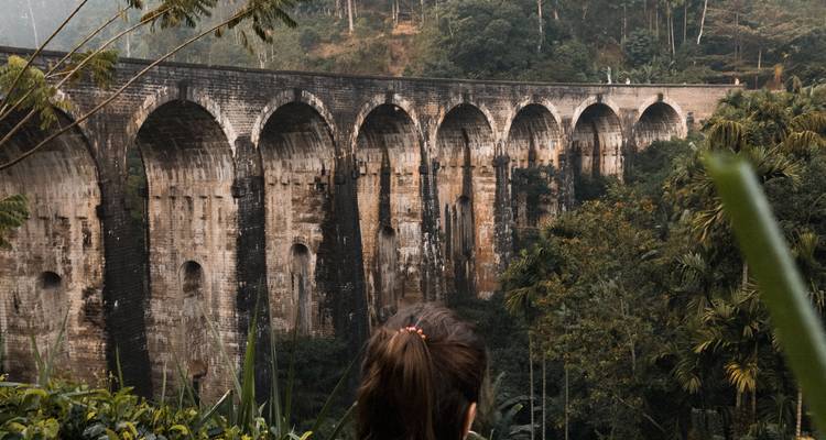 Vue arrière d'une femme admirant le pont ferroviaire aux neuf arches au milieu de la jungle luxuriante du Sri Lanka.