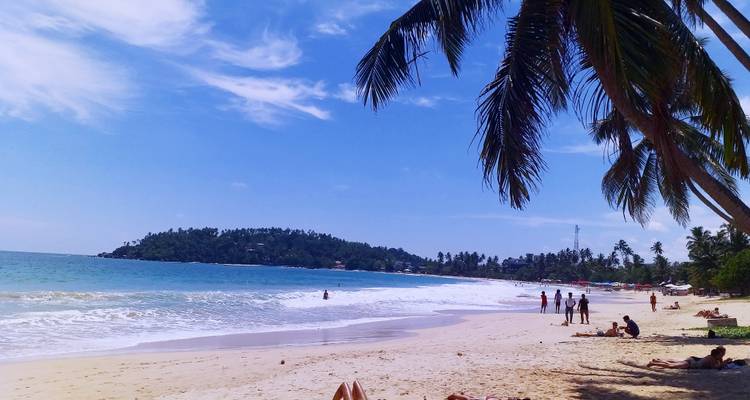 Plage tropicale avec des palmiers, mer turquoise et visiteurs se prélassant au soleil et marchant le long du rivage.