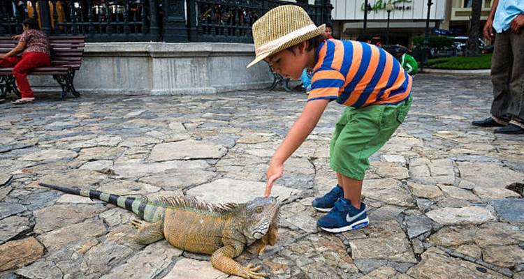 13 Days Family Adventure in Ecuador: Quito, Papallacta, Amazon, Baños, Guamote, Cuenca,Guayaquil - Responsible Travel South America 4