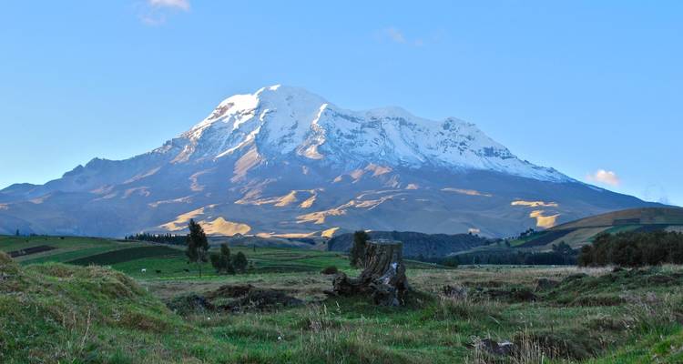 Le volcan Chimborazo aux sommets enneigés s'élève au-dessus des contreforts ondulants des Andes sous un ciel matinal dégagé.