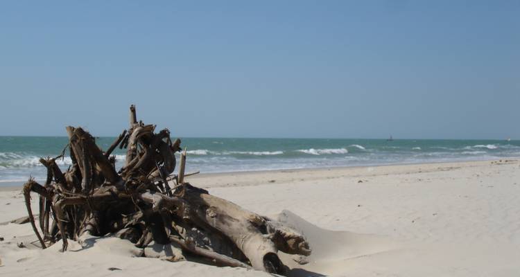 Culture et charme de Madagascar - Green Island Discovery 8