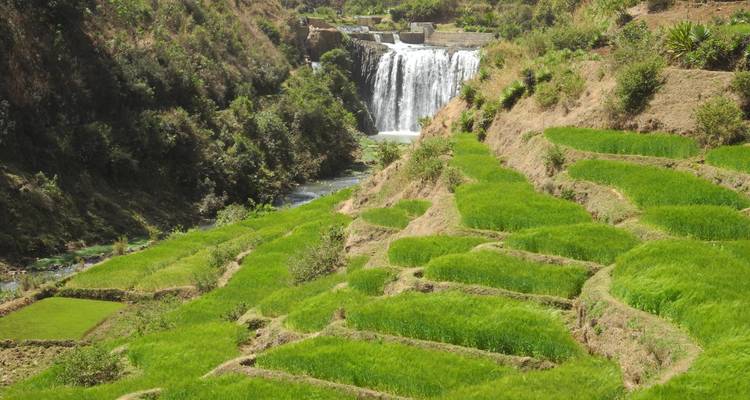 Culture et charme de Madagascar - Green Island Discovery 3