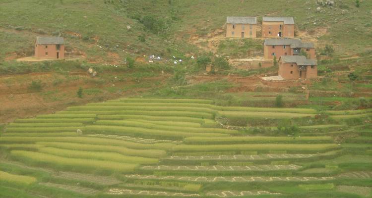 Les hauts plateaux du centre et l'aventure du canal des Pangalanes - Green Island Discovery 6