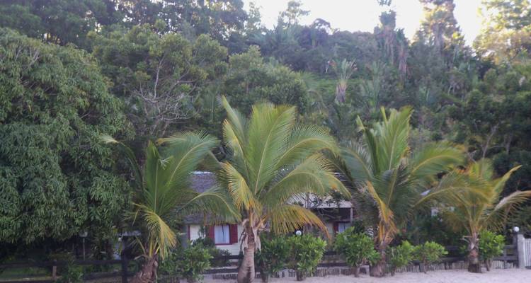 A beautiful escape to the little corner of paradise: Manambato - Green Island Discovery 6