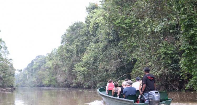 Viaje descubrimiento a Borneo y Malasia - Tweet World Travel 6