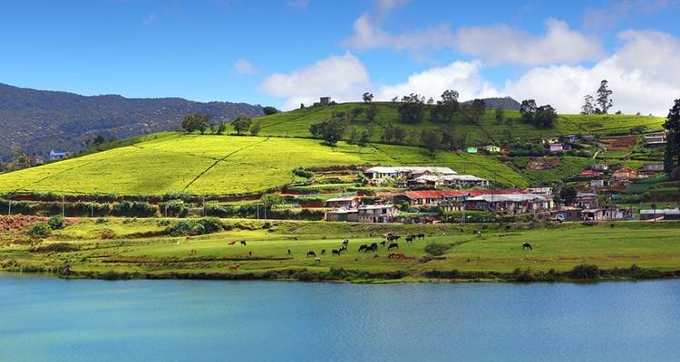 Itinéraire de 4 jours au Sri Lanka - Holiday Lanka Tours 3