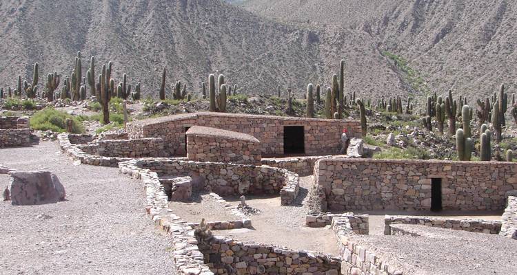 Steinruinen in einer kakteenreichen Wüstenlandschaft.