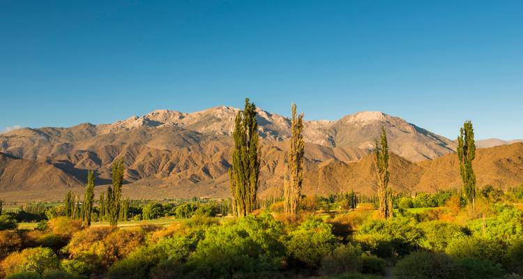 Argentijns landschap met bergen en hoge bomen onder een heldere hemel.