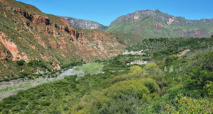 Groene riviervallei met roodachtige kliffen en begroeiing.