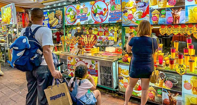 Tailor-Made Best Malaysia Family Tour, Daily Start & Private Guide - Agate Travel 8