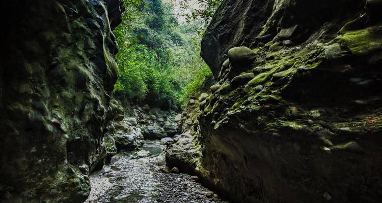 Himalayan Retreat: Dehradun Gateway Tour - Agora Voyages OPC Pvt Ltd 1