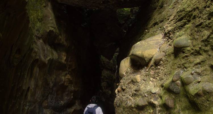 Himalayan Retreat: Dehradun Gateway Tour - Agora Voyages OPC Pvt Ltd 3